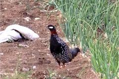 462497863_8534385376629372_2317204286657892513_n