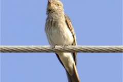 462502441_8547712181963358_6047555868944142936_n