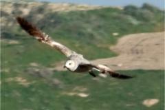 462507421_8531055990295644_6213881879730844366_n