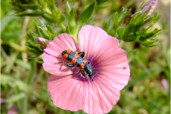 462532825_8531339113600665_3900000084033138658_n