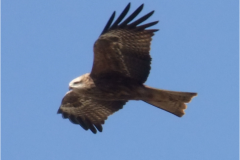 462533497_8531056303628946_8799714431081736591_n