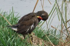 462541711_8536101766457733_6024401042765767458_n