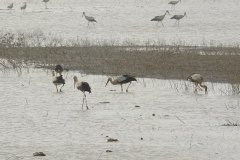 462543308_8543781152356461_4319302773138233337_n