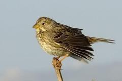 462564567_8534409856626924_8893621818841255558_n