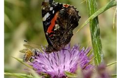 462583940_8537884879612755_7022229117478019630_n