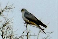 462601757_8537187216349188_1338618138548924639_n