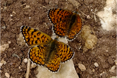 462605895_8534661219935121_7284897974855717087_n