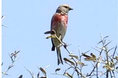 462616147_8547712501963326_5916690463288846869_n