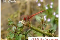 462619095_8552953241439252_4330513138620208113_n