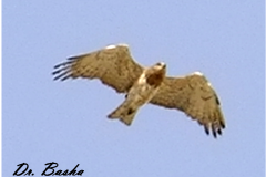 462644146_8547728841961692_4488041816137850389_n