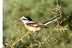 462654883_8545843492150227_2927267980358927433_n