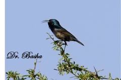 462663849_8545843522150224_7321612708466219845_n