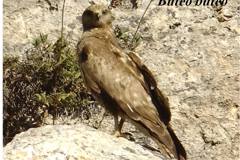 462670367_8553680231366553_8530011114432624952_n