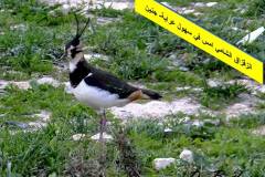 462682692_8575657772502132_828111201582972150_n