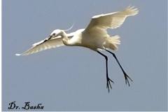 462689405_8545560015511908_6966903625661242355_n