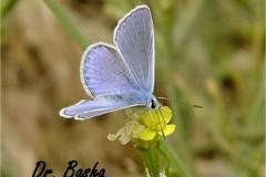 462698699_8545990668802176_7495385853735792369_n