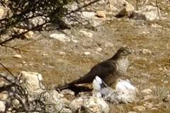 462699137_8555856911148885_546617768447585483_n