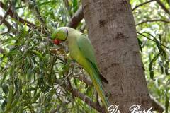 462700610_8547477478653495_7117397297554513390_n