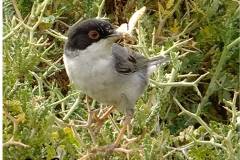 462706444_8545991145468795_6075377721248323871_n