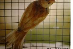 462711881_8553671581367418_2441953916749903554_n