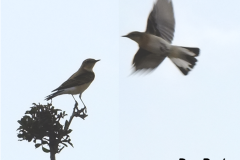 462766325_8565576593510250_3297879642313972833_n