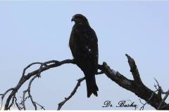 462774336_8569355859798990_6777641778023143040_n