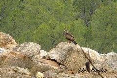 462775321_8571778822890027_8648285604159909700_n