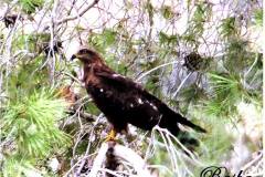 462775643_8568514363216473_6129646544604412934_n