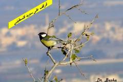 462776438_8575858612482048_1077470521861267861_n