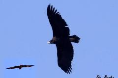 462791076_8571818376219405_8806858087837873937_n