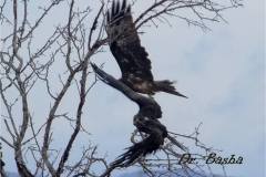 462801685_8571778386223404_488132986296627250_n