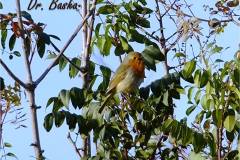 462803164_8573254399409136_6317550537637825277_n