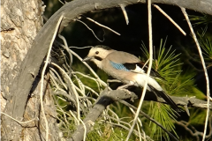 462807823_8567076606693582_8916492146494640147_n