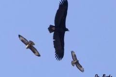 462842871_8571818389552737_8751233695325617732_n