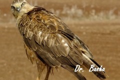 462845043_8570394566361786_3007069349362346774_n