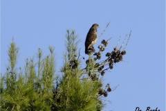 462879279_8572295459505030_8440909833458435311_n