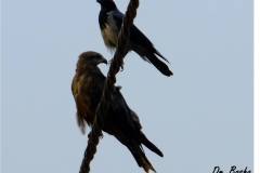 462883137_8573449146056328_3341161907446670241_n