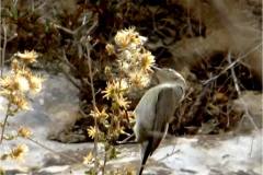 462901351_8569676889766887_6584197972108408997_n