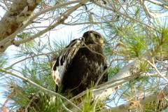 462902331_8573273346073908_4927618024216212152_n