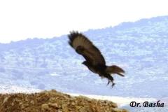 462915232_8580272882040621_1156649474042174114_n