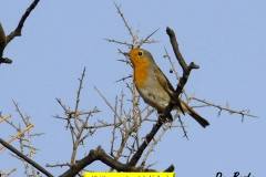 462916055_8574313149303261_3879287966716751715_n