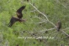 462929783_8568507693217140_6769984083087300441_n