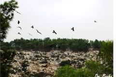 462933650_8574239369310639_5618930188717892063_n