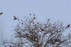 462942110_8572295686171674_7810593857067334633_n