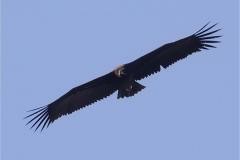 462955469_8571957826205460_1542200359848807136_n