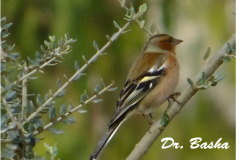 462959485_8568023789932197_1778401884851838263_n