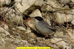 462966525_8574312939303282_5776856690225767478_n