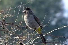 462967153_8574312739303302_6805571058905110112_n