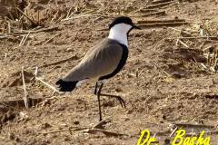 462985522_8570394583028451_6110553276954633033_n