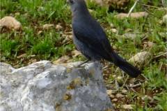 463024149_8573294009405175_1595326444736303458_n